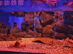 -珠海长隆海洋王国