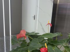 -常熟玉蕙口腔医院