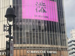 景点-涩谷区