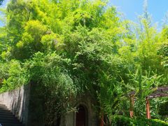 -深圳国际园林花卉博览园