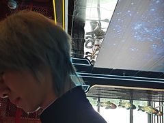 -屋有岛沉浸游戏旗舰店(中山公园店)