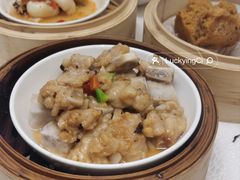 -东方御宴海鲜酒楼(棕泉酒店)