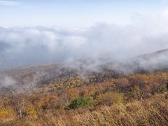 -灵山