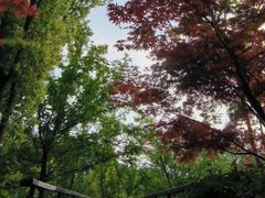 -昆山城市生态森林公园