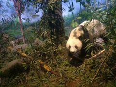 -陕西自然博物馆