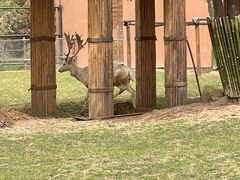 -祥源·阜阳生态乐园