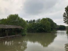 -溱湖国家湿地公园