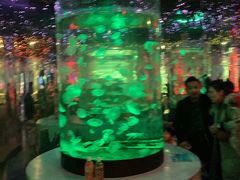 -太奥幻太奇海洋馆