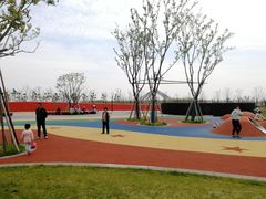 -春花秋色城市公园