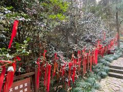 -梦姑塘文化公园