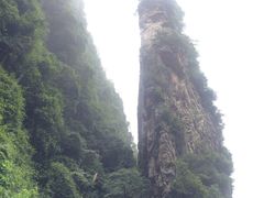 -华莱士·全鸡汉堡(常德桃源丽人街店)