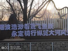 -绿堤公园