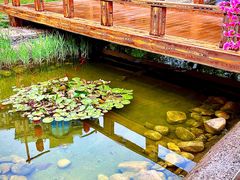 -天津燕园国际大酒店