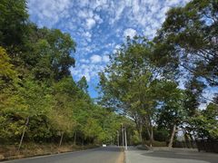 -孔雀湖生态旅游区