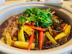 泉水焖烧鸡-先机泉水鸡汤(南山老君洞店)