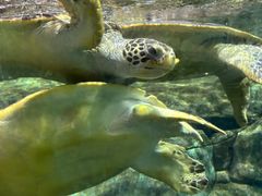 -福州罗源湾海洋世界旅游区