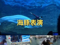 -郑州海洋馆