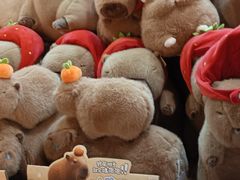 -可爱抓 COCO  GOTCHA(天津鹏欣水游城店)