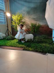 -星豆豆儿童摄影(南郊太白南路店)