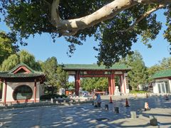 -百脉泉景区