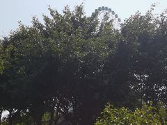 -汕头星城湾欢乐世界