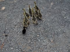 -晓雯人家