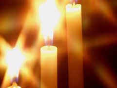 -彩虹桥宠物火化殡葬善终服务(金乐大厦店)