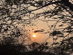 -番禺大夫山森林公园
