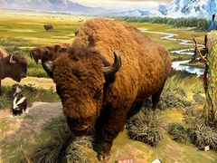 -陕西自然博物馆