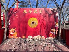 -北京石景山游乐园