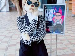 -济州岛泰迪熊博物馆