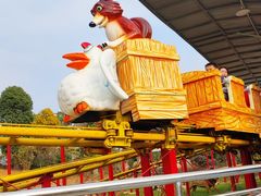 -空港花田景区