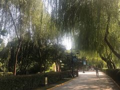 -西安汉城湖景区