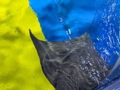 -沈阳海洋探索中心