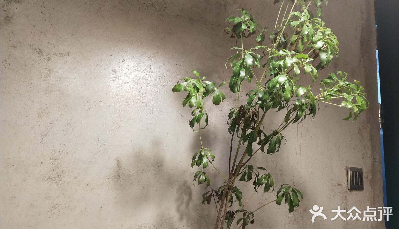 食宝街二期里隐藏的宝藏美味拌面