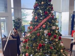 -奔驰上海利星(七宝店)