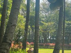 -三亚湾海居铂尔曼度假酒店