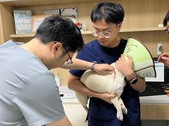 -谐和益家动物医院·免疫绝育·血液透析·宠保定点医院(高新伊藤分院)