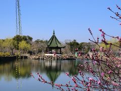 -无锡蠡湖国家湿地公园-蠡园
