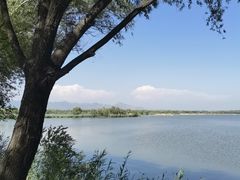 -野鸭湖国家湿地公园