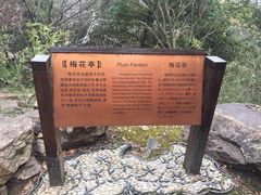 -香雪海