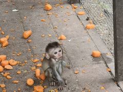 -辛玛王国游乐园