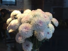 -VOYAGE COFFEE(北锣鼓巷店)