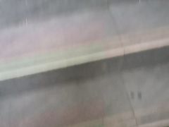-古南都·老广东酒楼(龙江店)
