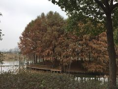 -尚贤河湿地