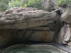 -海口观澜湖火山温泉谷