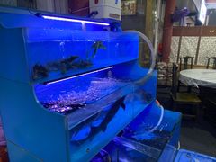 -韩妹鱼庄·泸定老字号(泸定店)