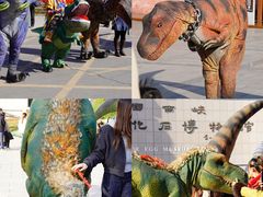 -中国西峡恐龙遗迹园