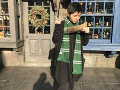 -哈利波特魔法世界