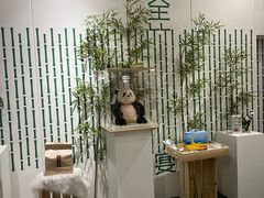 -竹鲜笙全竹宴(国色天香店)